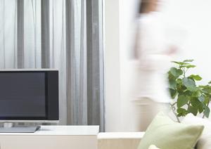 千葉県最新ショールームガイド：タカラスタンダード千葉支店の魅力と詳細情報